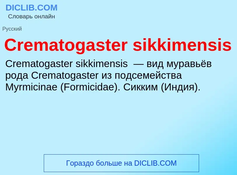 Что такое Crematogaster sikkimensis - определение