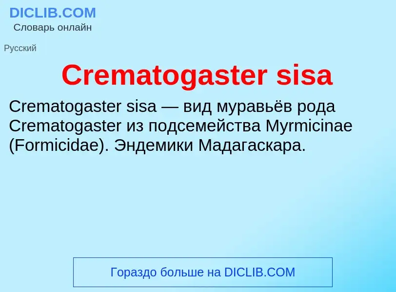 Что такое Crematogaster sisa - определение