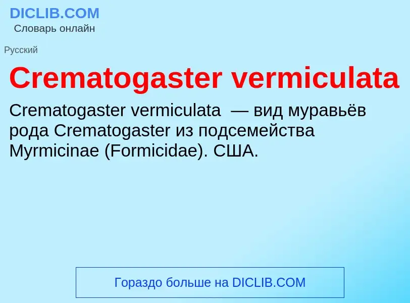 Что такое Crematogaster vermiculata - определение