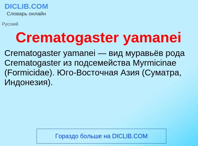 Что такое Crematogaster yamanei - определение