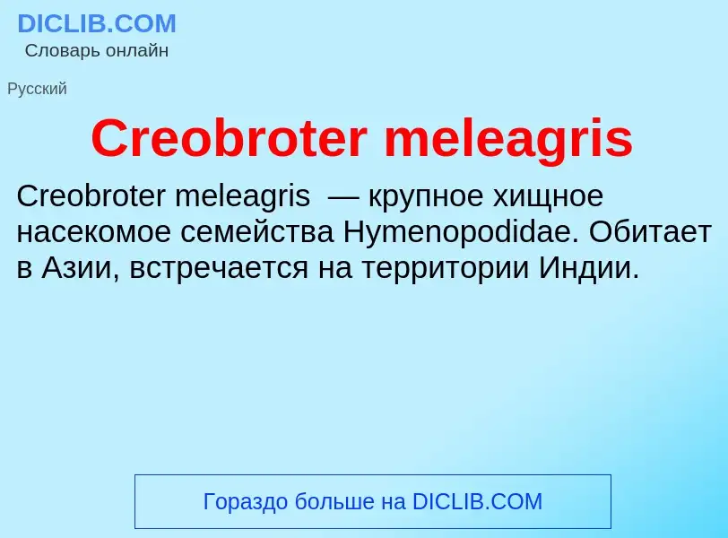 Что такое Creobroter meleagris - определение