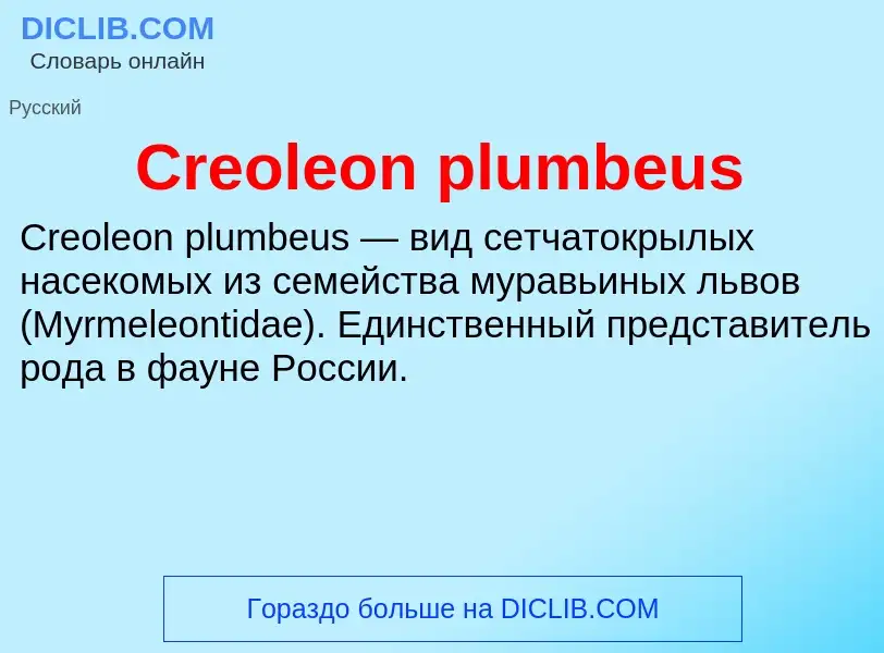 Что такое Creoleon plumbeus - определение