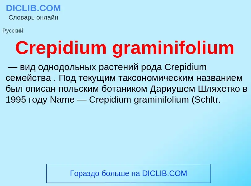 Что такое Crepidium graminifolium - определение