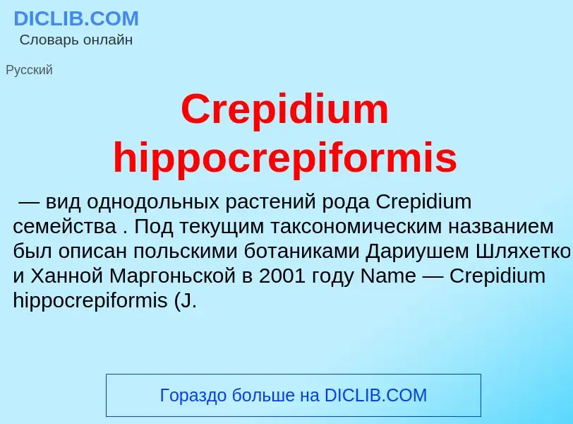 Что такое Crepidium hippocrepiformis - определение