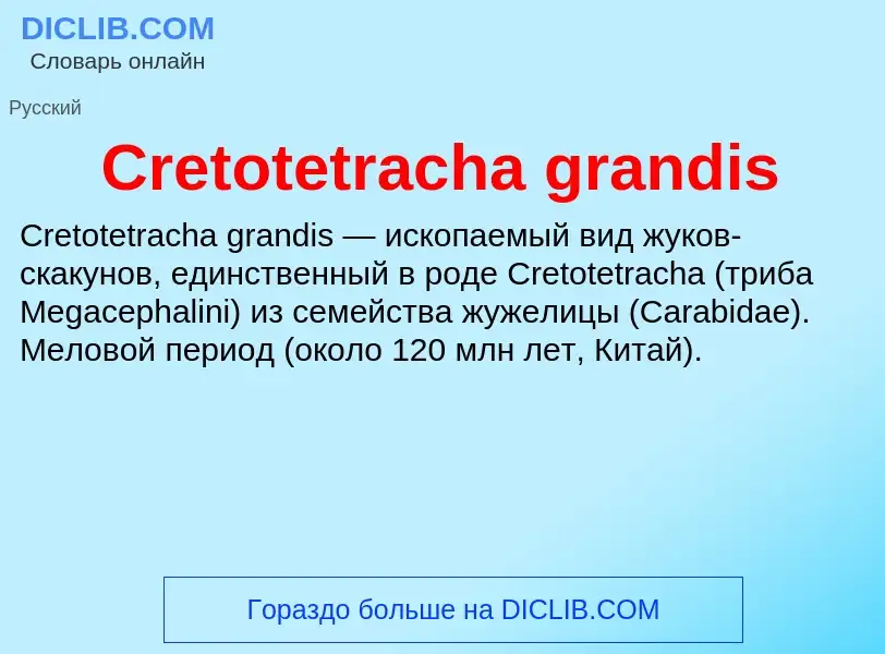 Что такое Cretotetracha grandis - определение