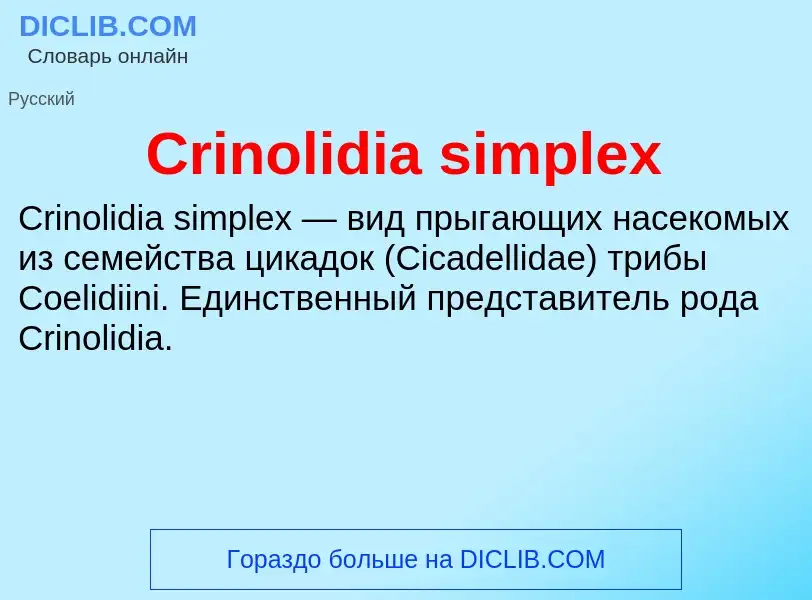 Что такое Crinolidia simplex - определение