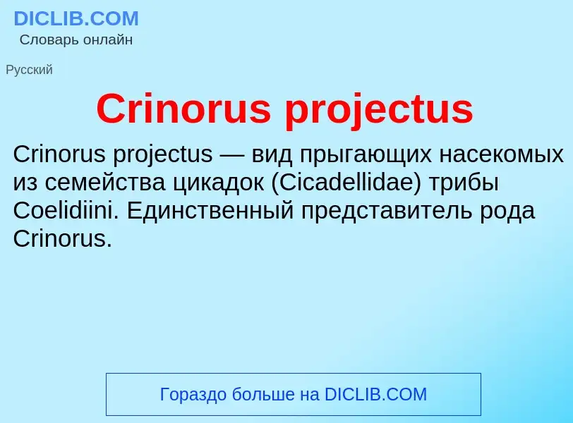 Что такое Crinorus projectus - определение