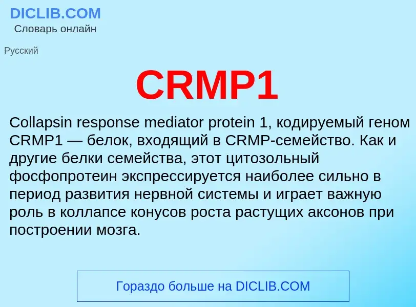 Что такое CRMP1 - определение