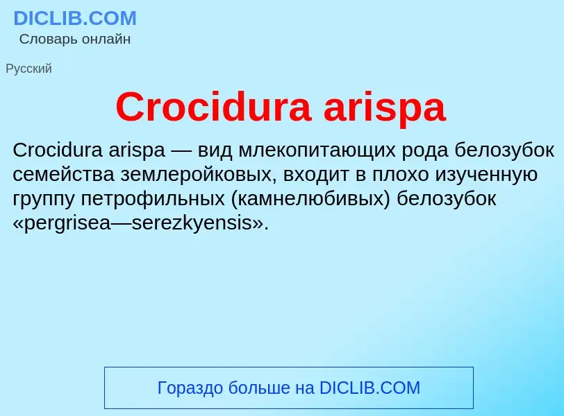 Что такое Crocidura arispa - определение