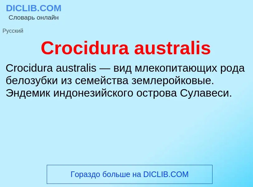 Что такое Crocidura australis - определение