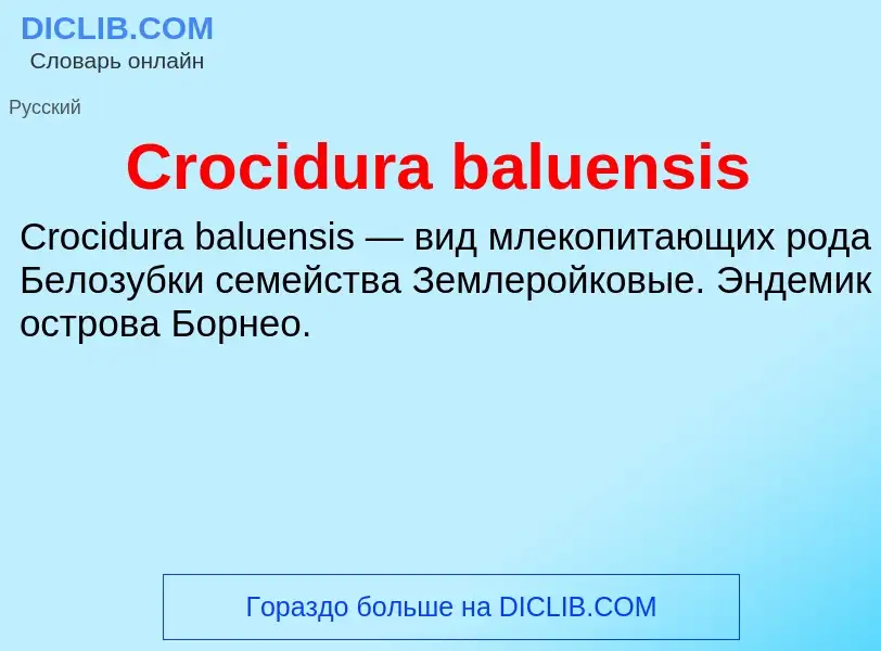 Что такое Crocidura baluensis - определение