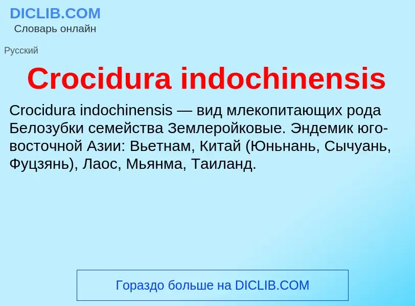 Что такое Crocidura indochinensis - определение