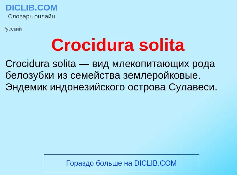 Что такое Crocidura solita - определение