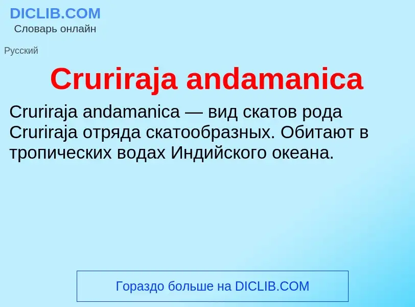 Τι είναι Cruriraja andamanica - ορισμός