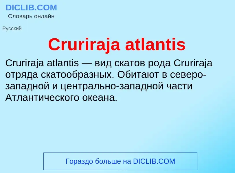 Τι είναι Cruriraja atlantis - ορισμός