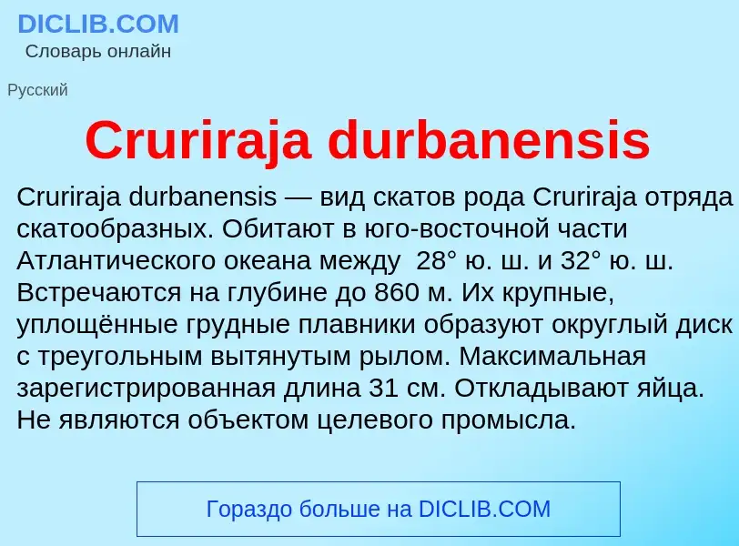 Τι είναι Cruriraja durbanensis - ορισμός