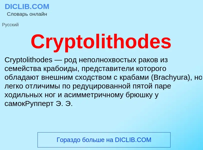 Τι είναι Cryptolithodes - ορισμός