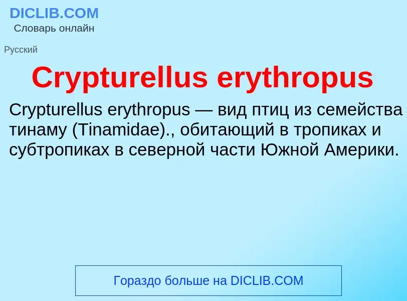 Τι είναι Crypturellus erythropus - ορισμός