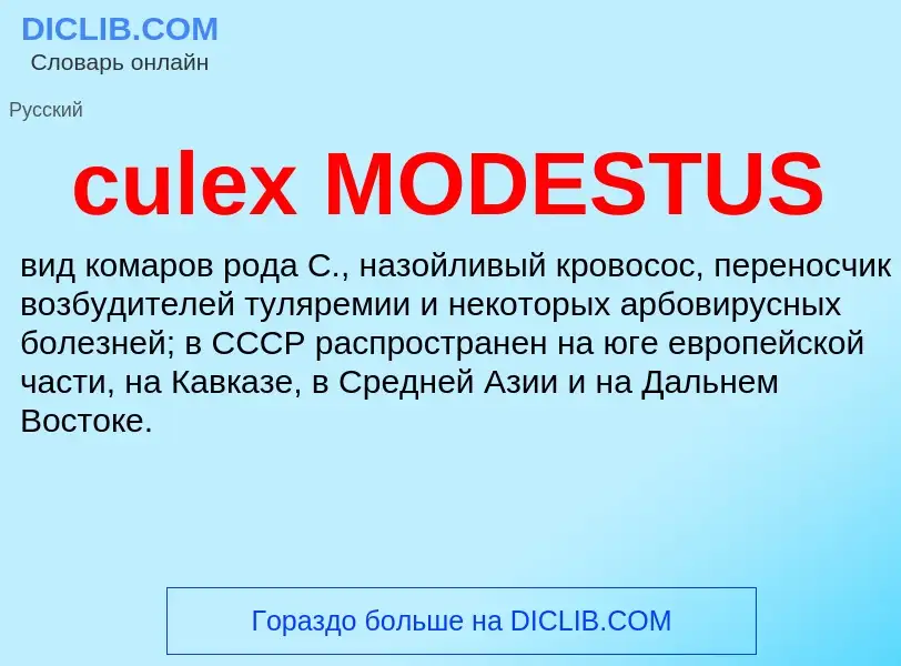 Что такое culex MODESTUS - определение