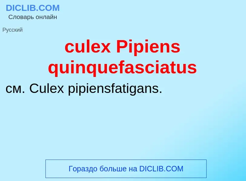 Что такое culex Pipiens quinquefasciatus - определение