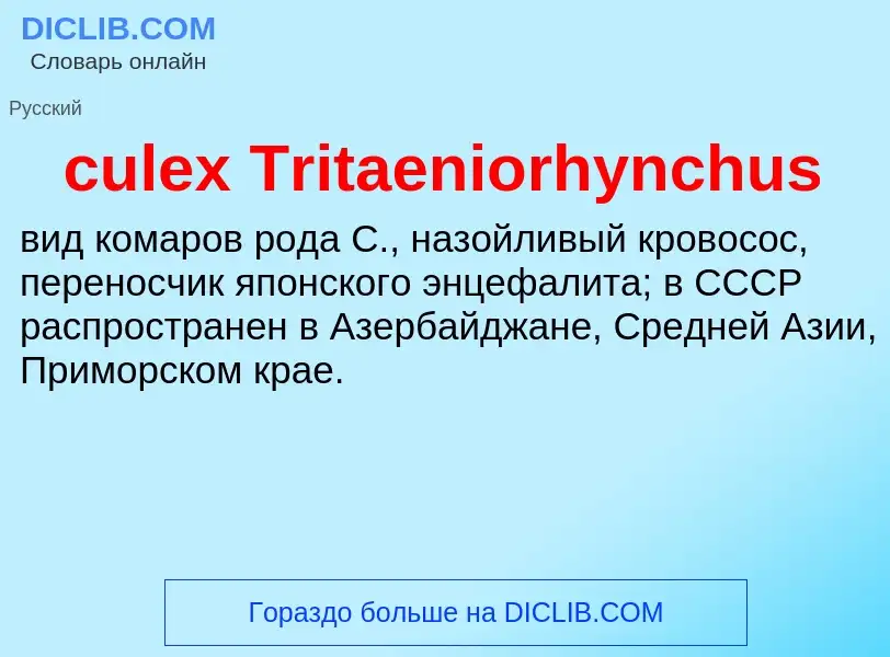 Che cos'è culex Tritaeniorhynchus - definizione