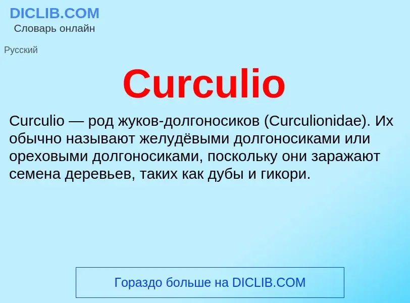 Что такое Curculio - определение