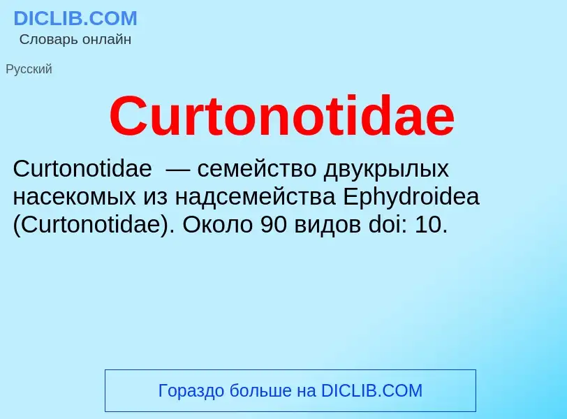 Что такое Curtonotidae - определение