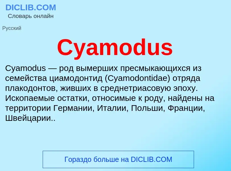 Wat is Cyamodus - definition