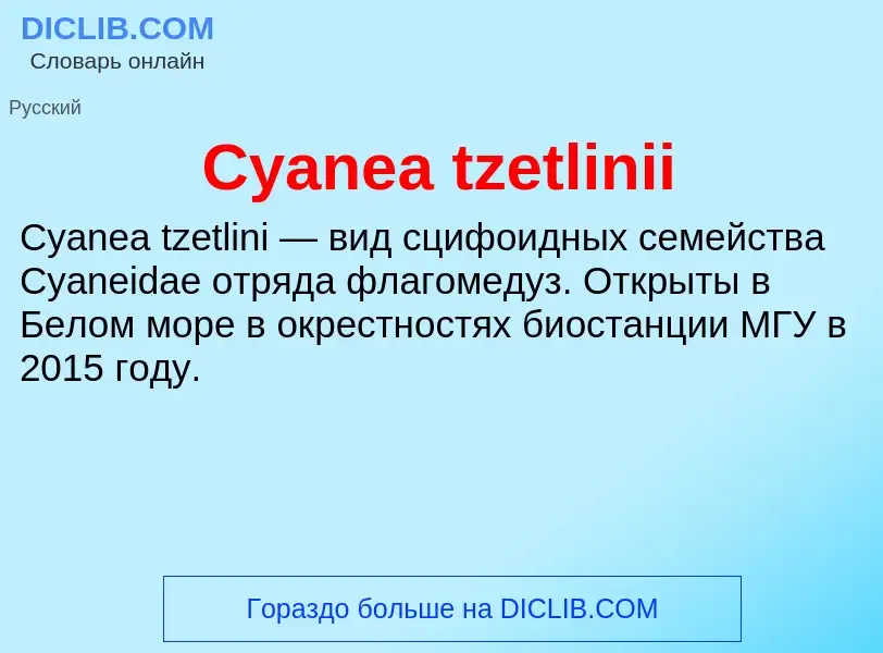 Что такое Cyanea tzetlinii - определение