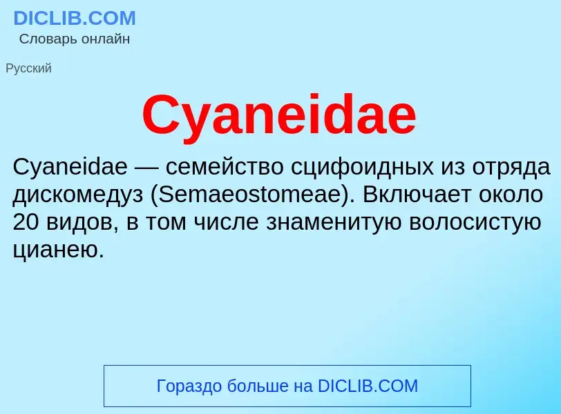 Τι είναι Cyaneidae - ορισμός