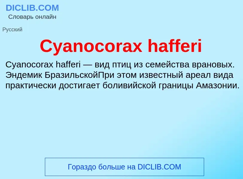 Τι είναι Cyanocorax hafferi - ορισμός