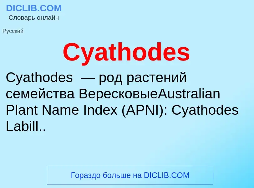 Τι είναι Cyathodes - ορισμός