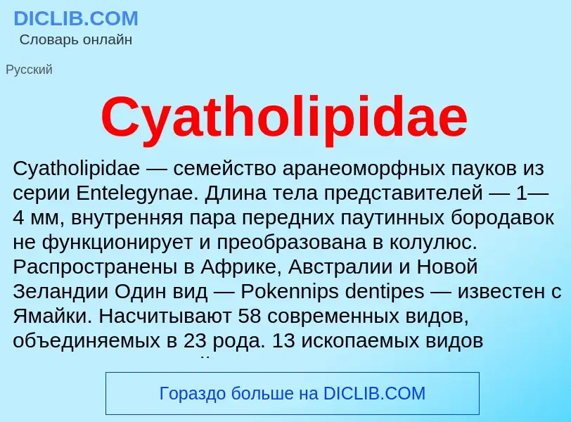 Τι είναι Cyatholipidae - ορισμός