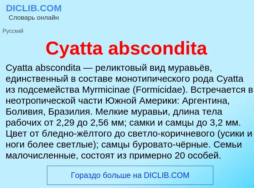 Τι είναι Cyatta abscondita - ορισμός