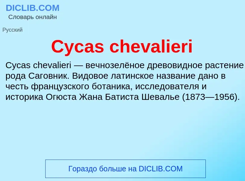 Что такое Cycas chevalieri - определение