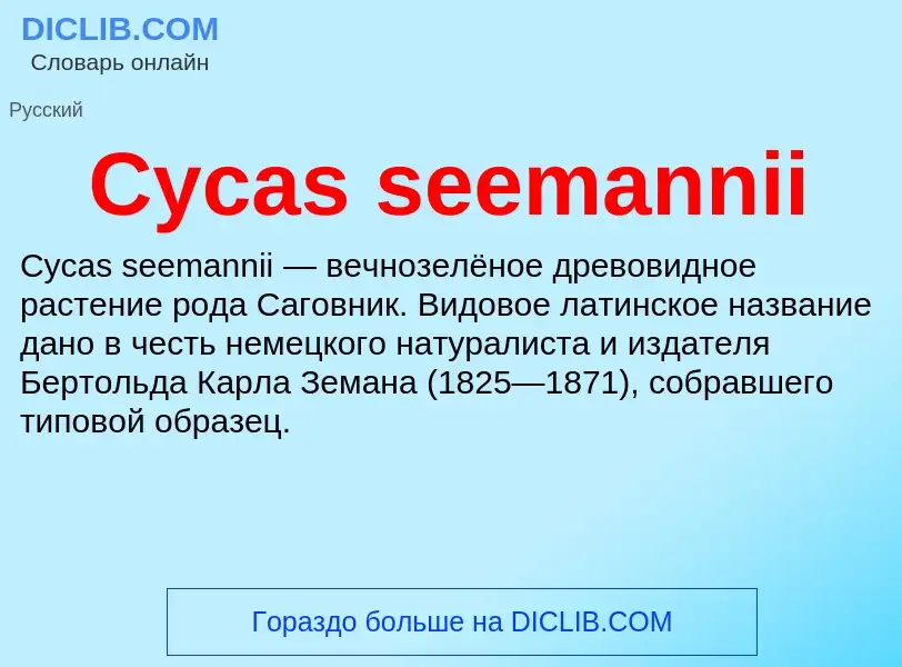 Что такое Cycas seemannii - определение