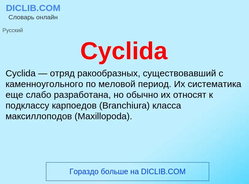 Что такое Cyclida - определение