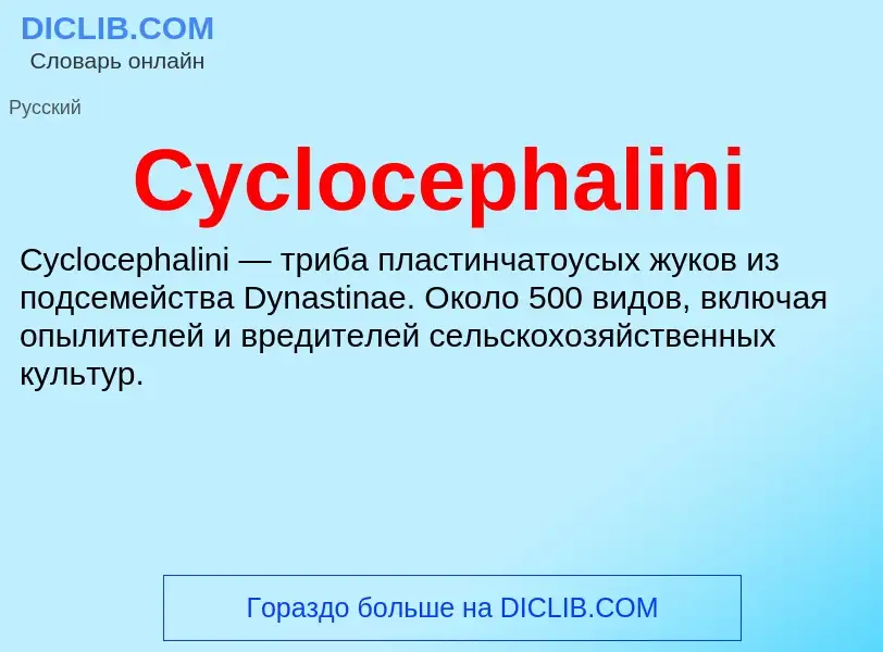 Что такое Cyclocephalini - определение