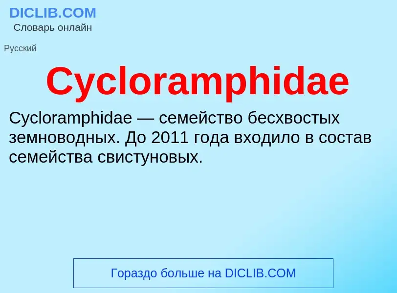 Что такое Cycloramphidae - определение