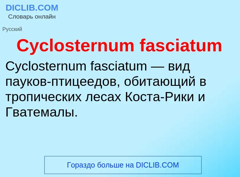 Что такое Cyclosternum fasciatum - определение