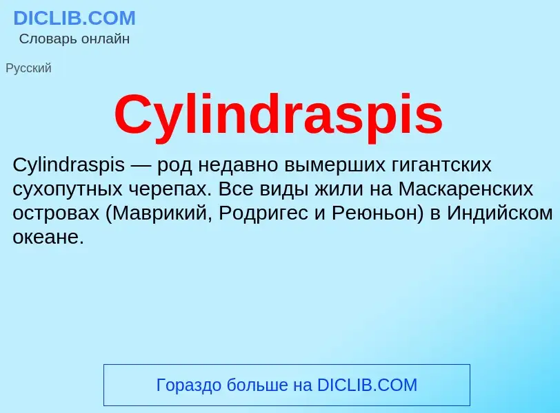 Что такое Cylindraspis - определение