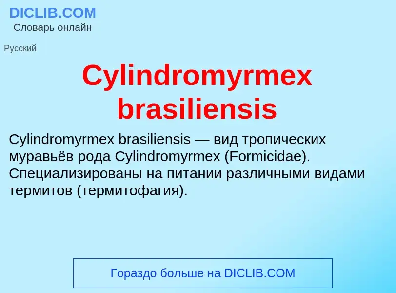 Что такое Cylindromyrmex brasiliensis - определение