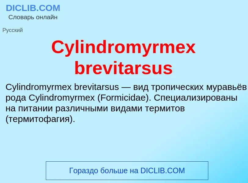 Что такое Cylindromyrmex brevitarsus - определение