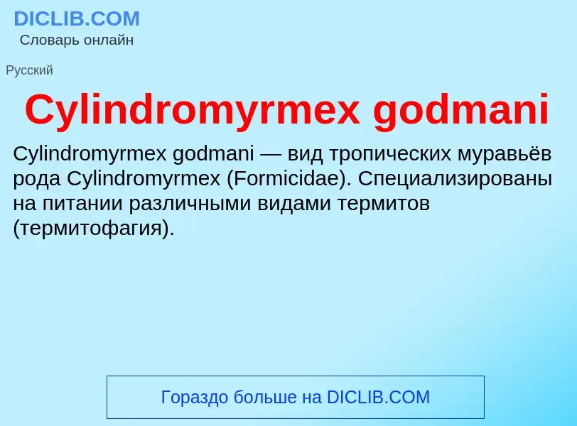 Что такое Cylindromyrmex godmani - определение