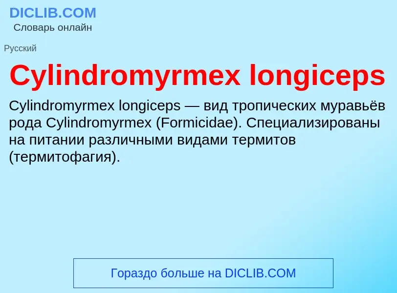 Что такое Cylindromyrmex longiceps - определение