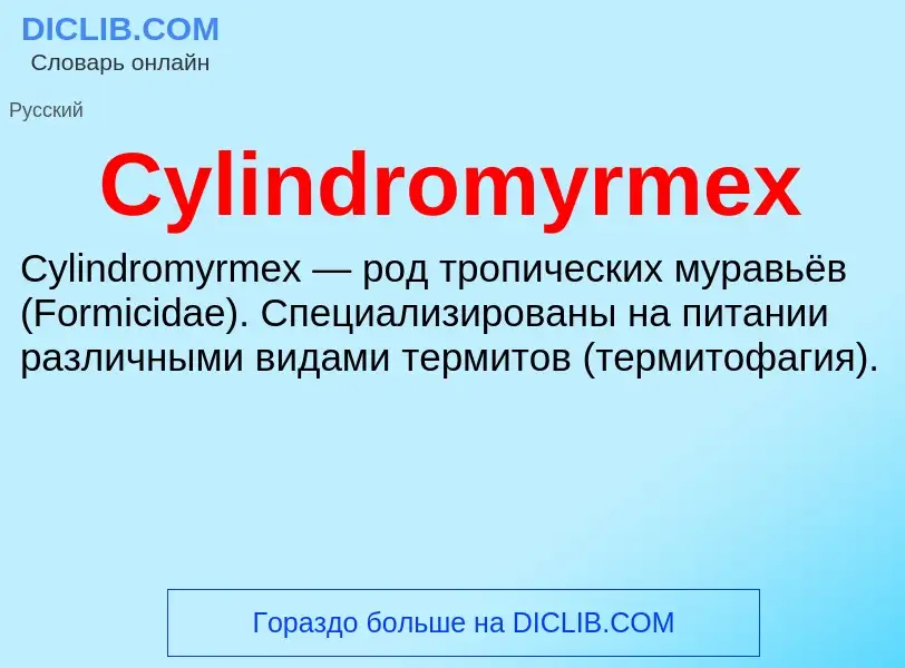 Что такое Cylindromyrmex - определение