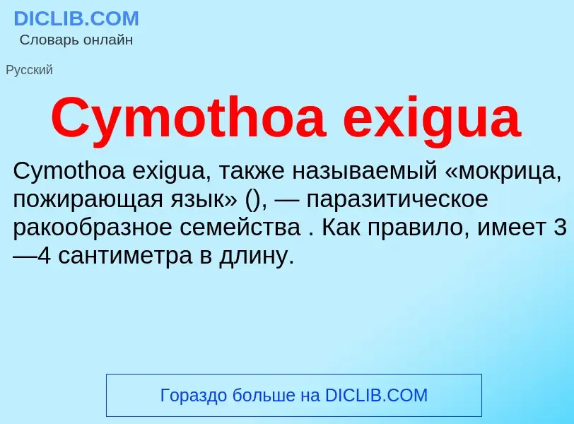 Что такое Cymothoa exigua - определение