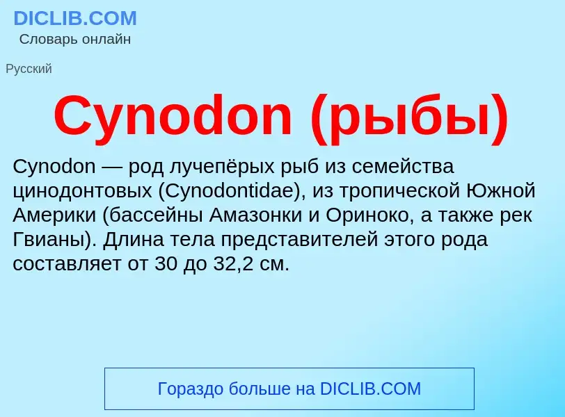 Что такое Cynodon (рыбы) - определение