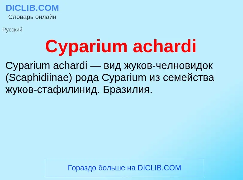 Что такое Cyparium achardi - определение