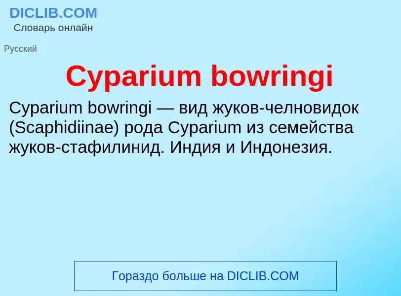 What is Cyparium bowringi - definition